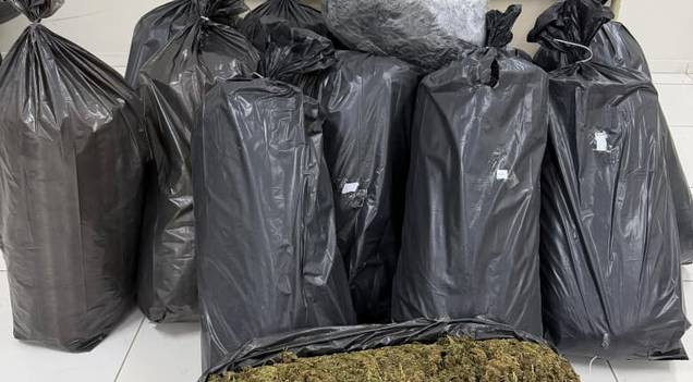 PM apreende 121 quilos de maconha em sacos plásticos e prende suspeito no Piauí