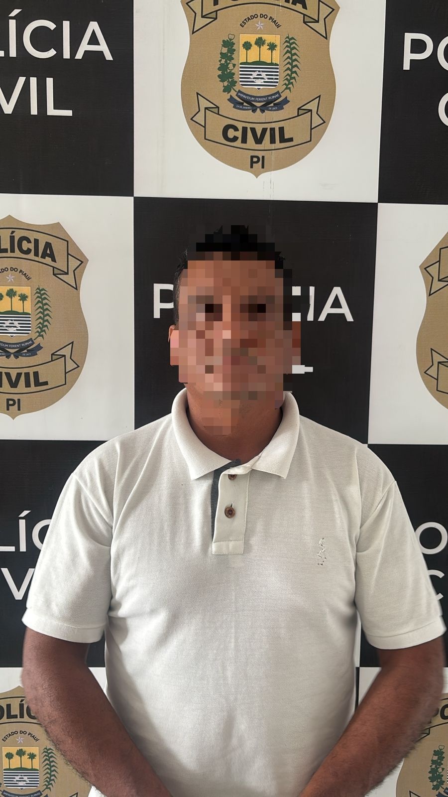 Polícia Civil prende condenado por matar a própria sogra na zona Sul de Teresina