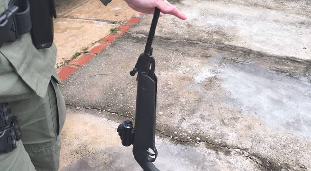 Polícia Militar prende suspeito de atirar em cão em Teresina