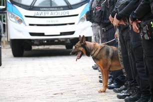Polícia Penal deflagra operação em presídios durante o Carnaval no Piauí (Foto: Divulgação)