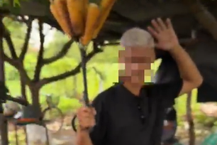 Polícia prende homem que usava venda de milho como fachada para o tráfico (Foto: Divulgação)