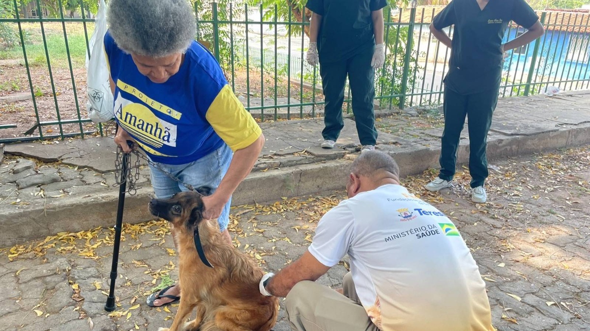 Campanha de vacinação contra a raiva em Teresina será nos meses de abril e maio