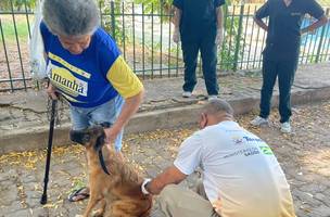 Campanha de vacinação contra a raiva em Teresina será nos meses de abril e maio (Foto: Divulgação)