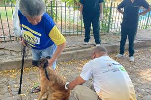 Campanha de vacinação contra a raiva em Teresina será nos meses de abril e maio (Foto: Divulgação)