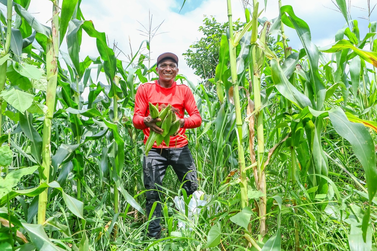 Mais de 68 mil famílias no Piauí vão receber R$ 80 milhões pelo Garantia-Safra