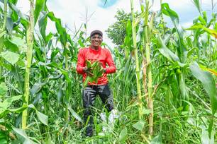 Mais de 68 mil famílias no Piauí vão receber R$ 80 milhões pelo Garantia-Safra (Foto: Divulgação)