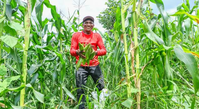 Mais de 68 mil famílias no Piauí vão receber R$ 80 milhões pelo Garantia-Safra