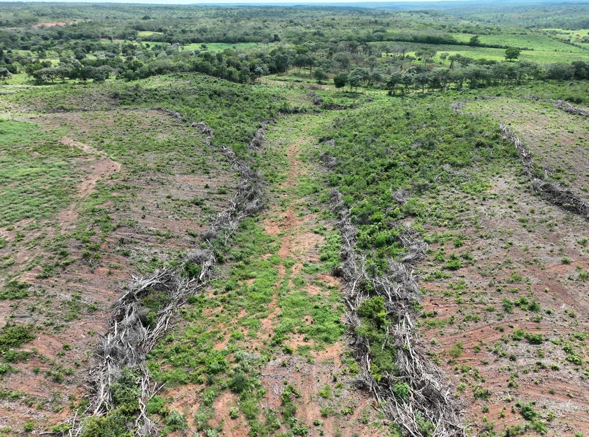 Operação identifica mais de 1.500 hectares de desmatamento ilegal no Piauí