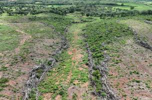 Operação identifica mais de 1.500 hectares de desmatamento ilegal no Piauí (Foto: Divulgação)