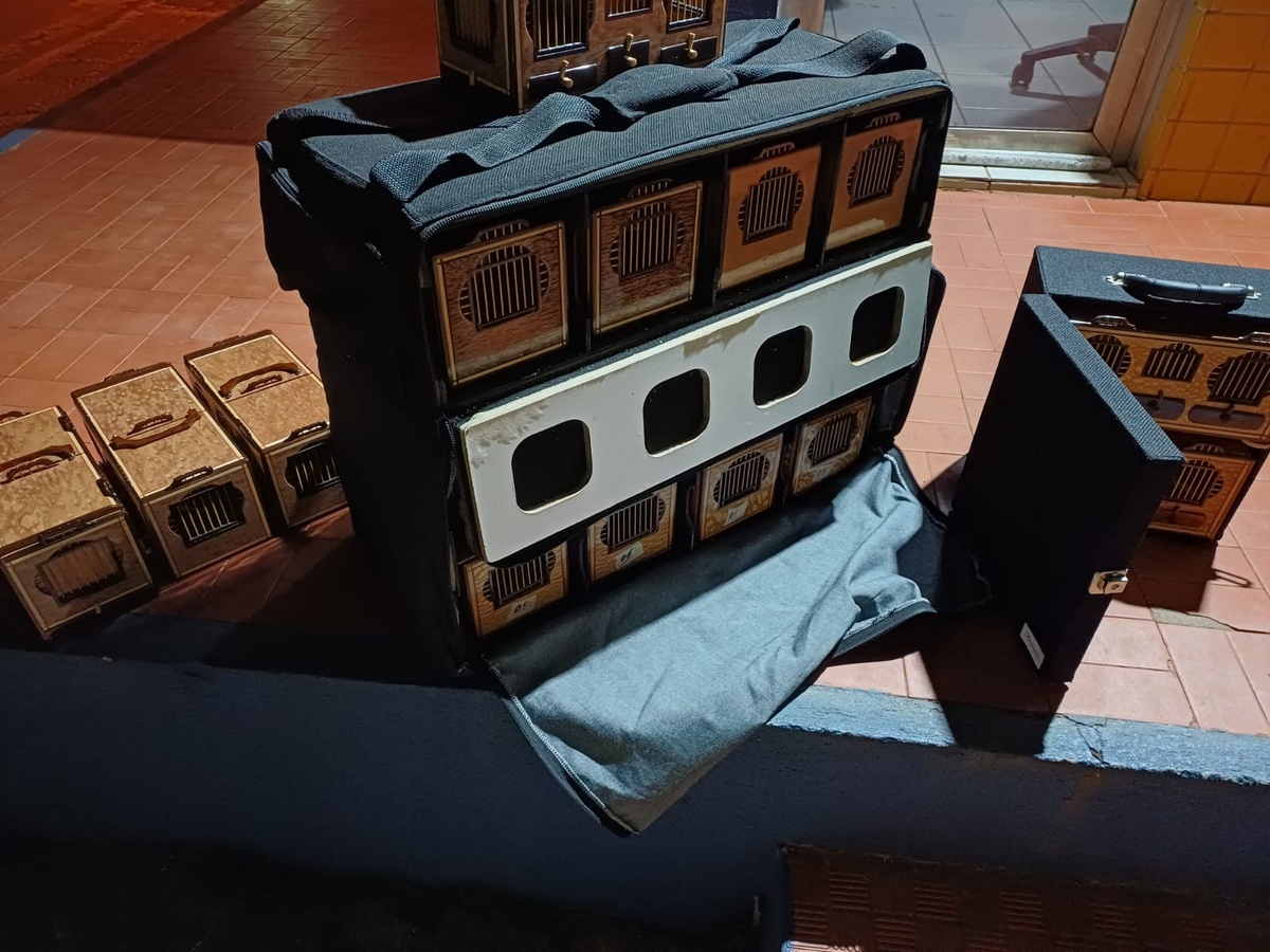 PRF flagra transporte irregular de aves silvestres durante fiscalização no Piauí