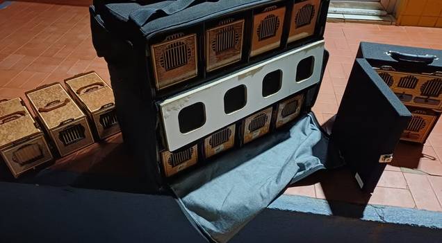 PRF flagra transporte irregular de aves silvestres durante fiscalização no Piauí