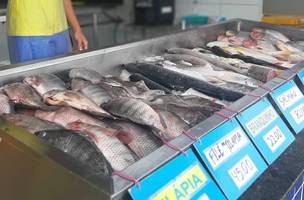 SDU Leste intensifica limpeza no Mercado do Peixe para a Quaresma (Foto: Divulgação)