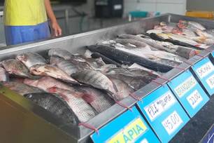 SDU Leste intensifica limpeza no Mercado do Peixe para a Quaresma (Foto: Divulgação)