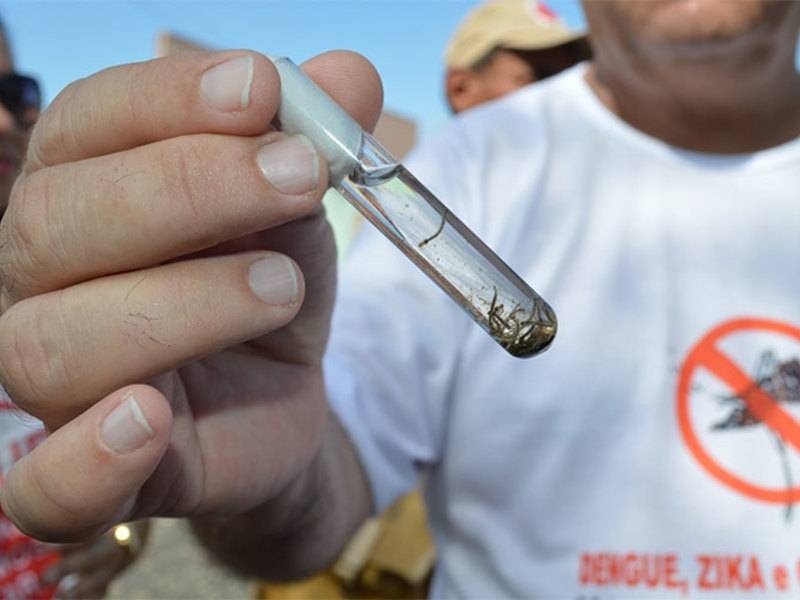Teresina registra um caso de dengue e intensifica ações de prevenção