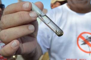 Teresina registra um caso de dengue e intensifica ações de prevenção (Foto: Divulgação)
