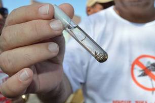 Teresina registra um caso de dengue e intensifica ações de prevenção