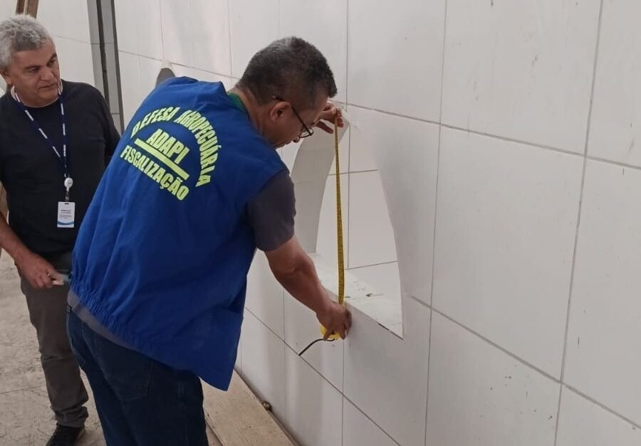 Adapi e Codevasf vistoriam o maior abatedouro de caprinos e ovinos do Piauí