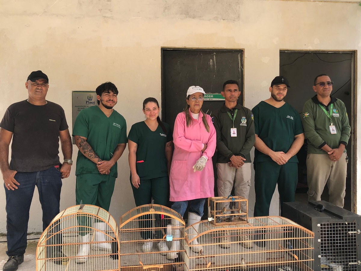 Animais silvestres retirados de cativeiro são encaminhados para reabilitação