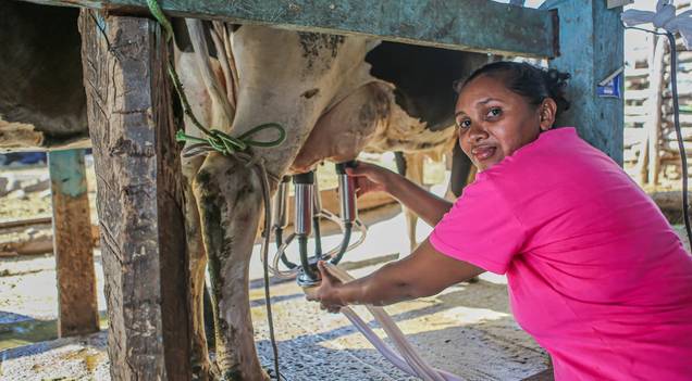 Governo lança expansão do programa de aquisição de leite para municípios do PI