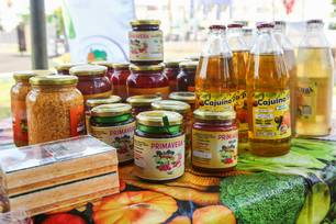 Inscrições de projeto que vai investir R$ 33 mi na agricultura são prorrogadas (Foto: Divulgação)