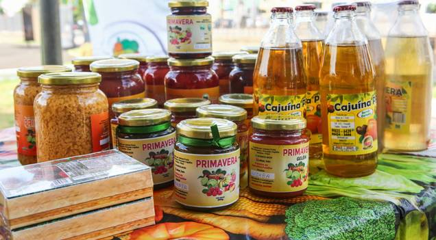 Inscrições de projeto que vai investir R$ 33 mi na agricultura são prorrogadas