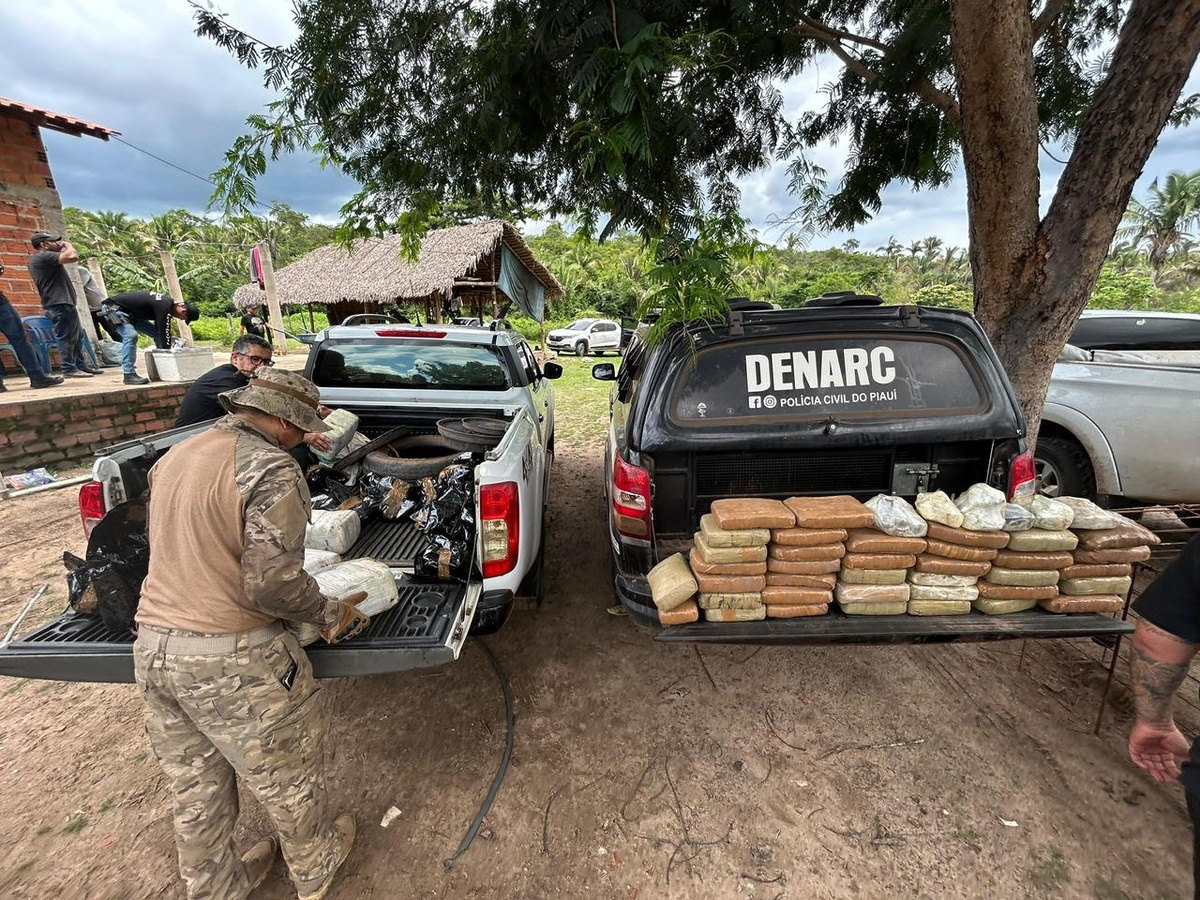 Piauí reforça combate ao tráfico e Denarc apreende mais de 730 kg de drogas
