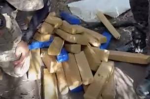 Polícia apreende nova quantidade de drogas em sítio no Maranhão (Foto: Divulgação)