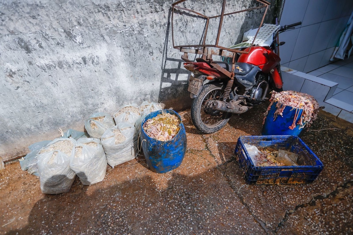 Polícia deflagra operação e fecha abatedouro clandestino de aves em Teresina