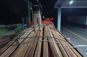 PRF apreende carga de madeira irregular e comprimidos de rebite no Piauí (Foto: Divulgação)