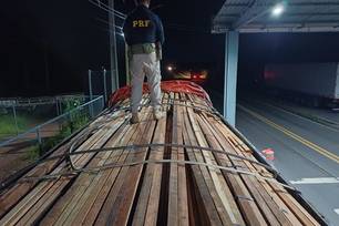 PRF apreende carga de madeira irregular e comprimidos de rebite no Piauí (Foto: Divulgação)