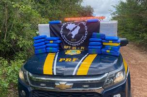 PRF apreende cerca de 90 quilos de skunk na Divisa do Piauí com o Maranhão (Foto: Divulgação)