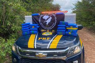 PRF apreende cerca de 90 quilos de skunk na Divisa do Piauí com o Maranhão (Foto: Divulgação)