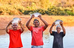Semana Santa impulsiona produção de peixes no Piauí (Foto: Divulgação)