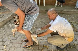Vacinação contra a raiva na zona rural começa neste sábado (18) (Foto: Divulgação)