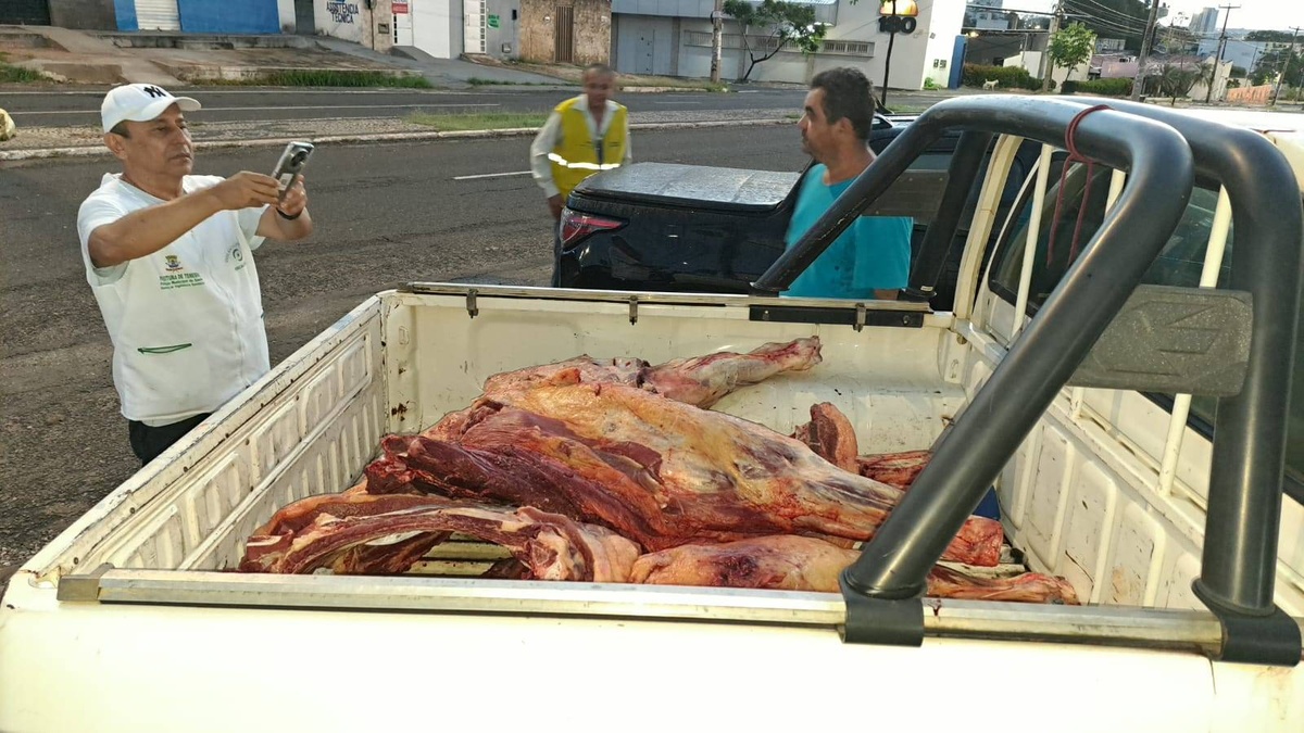 Vigilância Sanitária apreende 230 kg de carne irregular em Teresina