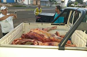 Vigilância Sanitária apreende 230 kg de carne irregular em Teresina (Foto: Divulgação)
