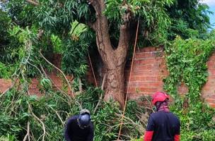 Zona Sul de Teresina segue com maior número de atendimentos da Defesa Civil (Foto: Divulgação)