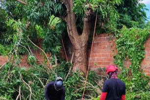 Zona Sul de Teresina segue com maior número de atendimentos da Defesa Civil (Foto: Divulgação)
