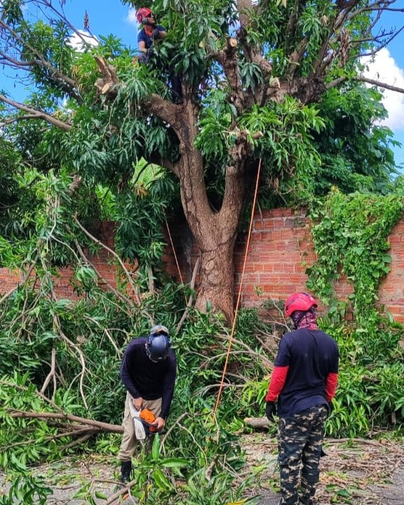 Zona Sul de Teresina segue com maior número de atendimentos da Defesa Civil
