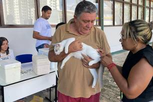 FMS promove vacinação contra a raiva nas zonas Sul e Sudeste neste sábado (16)