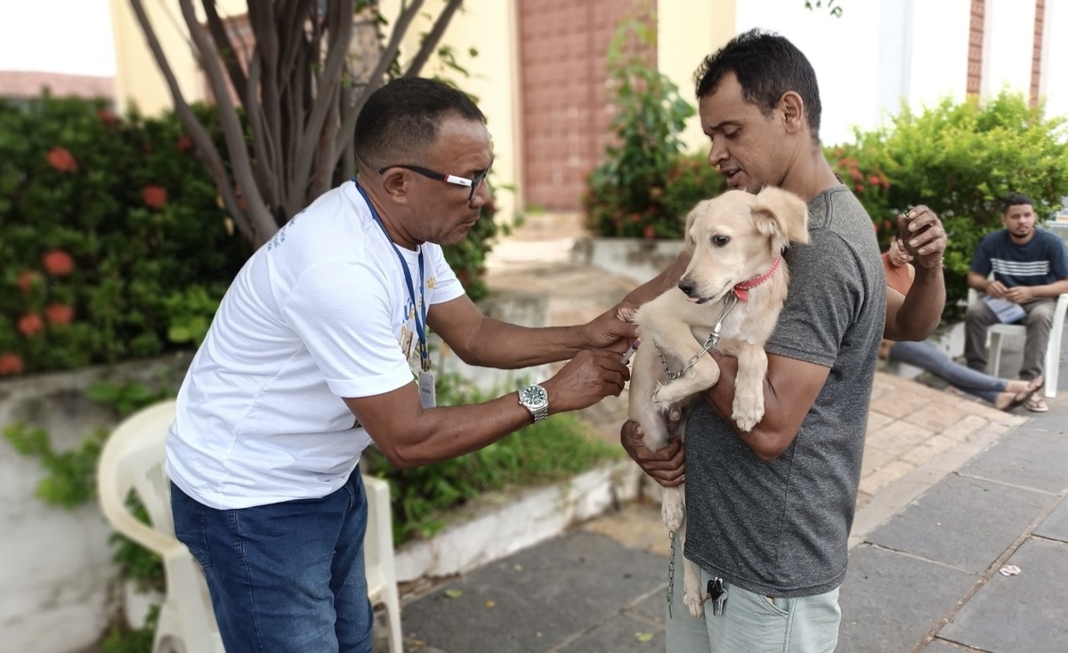 Na oportunidade, serão oferecidos serviços voltados para cães e gatos