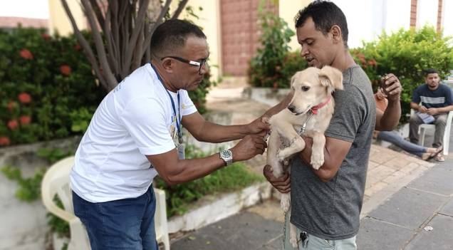 Timon realiza a ação Saúde em 4 patas para promoção do bem-estar animal