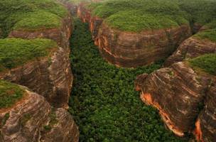 Piauí registra maior redução proporcional do desmatamento da Mata Atlântica (Foto: Divulgação)