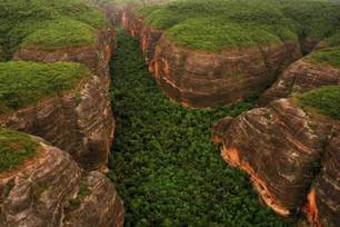 Piauí registra maior redução proporcional do desmatamento da Mata Atlântica