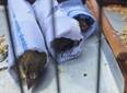 Polícia Ambiental apreende aves silvestres em operação na zona Sudeste