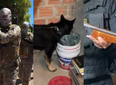 Polícia prende suspeitos de uso de redes sociais para divulgar facção no PI e MA