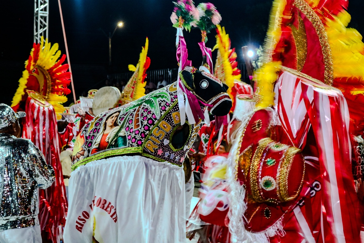 Festival de Bois do Piauí celebra tradição no Encontro Nacional de Folguedos