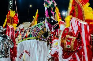 Festival de Bois do Piauí celebra tradição no Encontro Nacional de Folguedos (Foto: Divulgação)