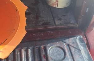 Homem é preso por maus-tratos após cão ser arrastado por veículo em Teresina (Foto: Divulgação)