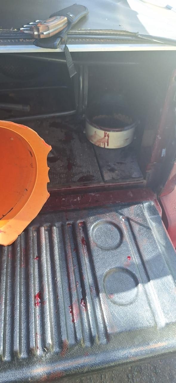 Homem é preso por maus-tratos após cão ser arrastado por veículo em Teresina